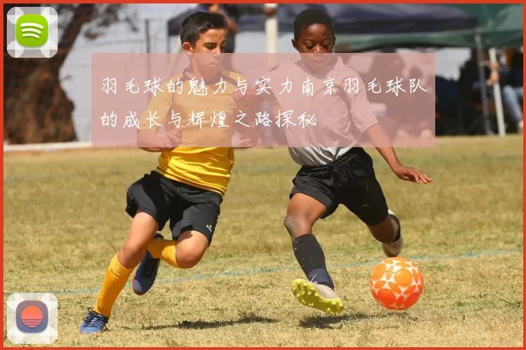 羽毛球的魅力与实力南京羽毛球队的成长与辉煌之路探秘