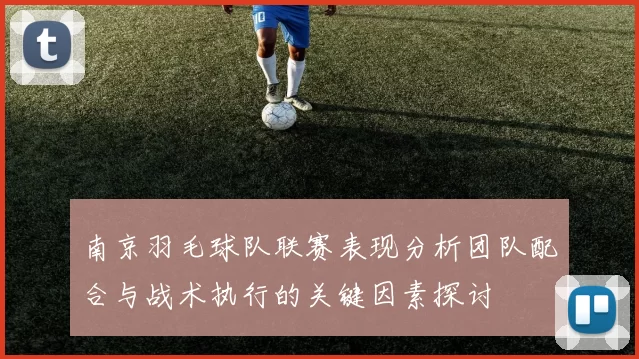 南京羽毛球队联赛表现分析团队配合与战术执行的关键因素探讨