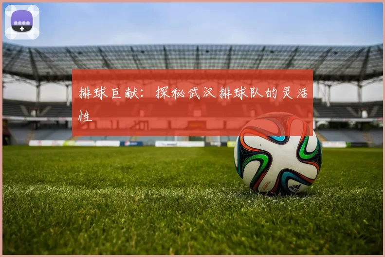 排球巨献：探秘武汉排球队的灵活性