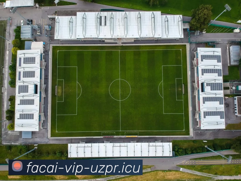 App Interface Preview